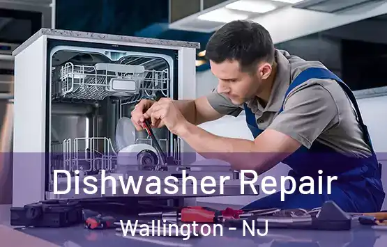  Dishwasher Repair Wallington - NJ