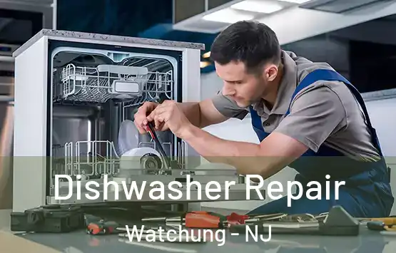  Dishwasher Repair Watchung - NJ