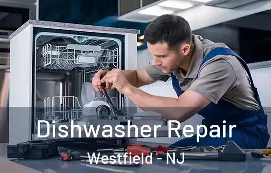  Dishwasher Repair Westfield - NJ