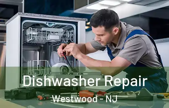  Dishwasher Repair Westwood - NJ