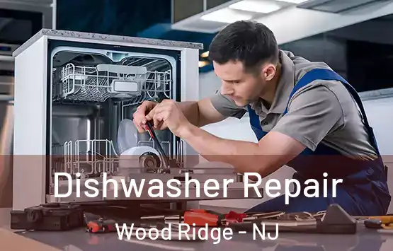  Dishwasher Repair Wood Ridge - NJ