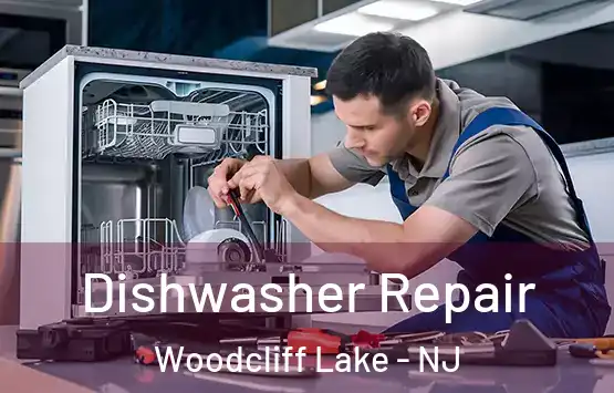  Dishwasher Repair Woodcliff Lake - NJ