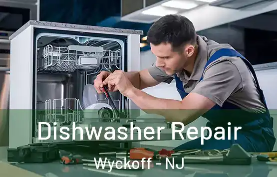  Dishwasher Repair Wyckoff - NJ