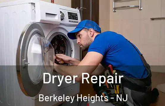  Dryer Repair Berkeley Heights - NJ
