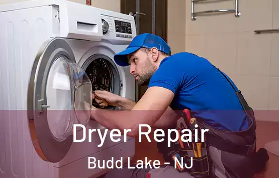  Dryer Repair Budd Lake - NJ