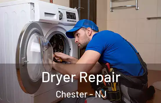  Dryer Repair Chester - NJ