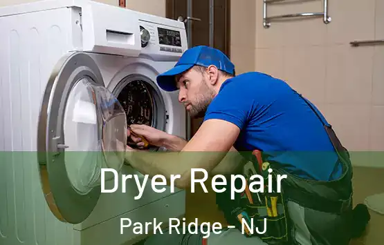  Dryer Repair Park Ridge - NJ
