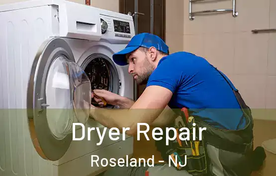  Dryer Repair Roseland - NJ