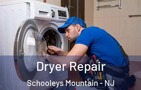  Dryer Repair Schooleys Mountain - NJ