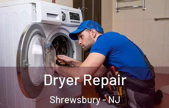  Dryer Repair Shrewsbury - NJ