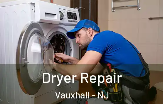  Dryer Repair Vauxhall - NJ