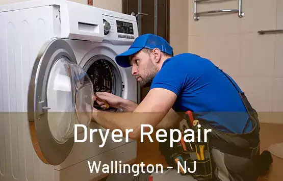 Dryer Repair Wallington - NJ