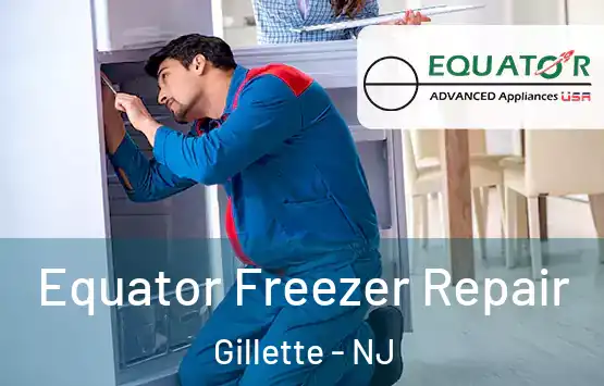  Equator Freezer Repair Gillette - NJ