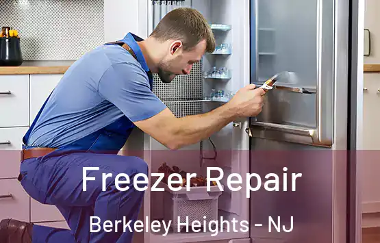  Freezer Repair Berkeley Heights - NJ