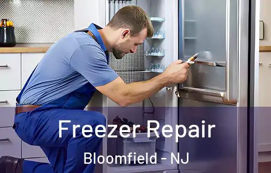  Freezer Repair Bloomfield - NJ