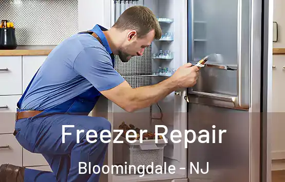  Freezer Repair Bloomingdale - NJ