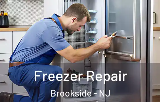  Freezer Repair Brookside - NJ