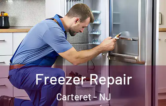  Freezer Repair Carteret - NJ