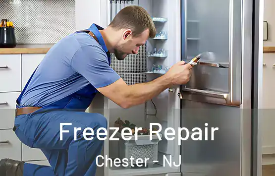  Freezer Repair Chester - NJ