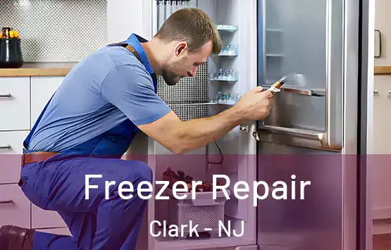  Freezer Repair Clark - NJ