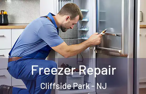  Freezer Repair Cliffside Park - NJ