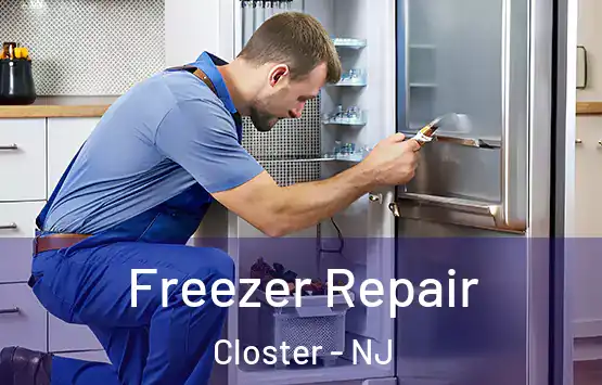  Freezer Repair Closter - NJ