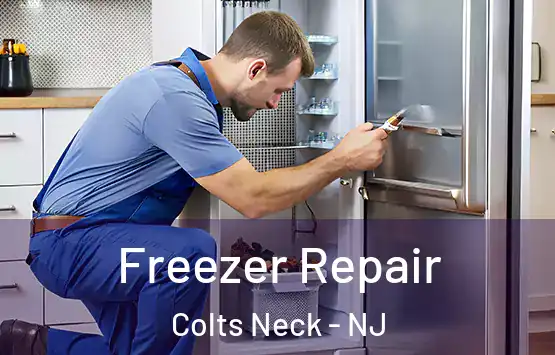  Freezer Repair Colts Neck - NJ
