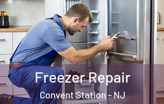  Freezer Repair Convent Station - NJ