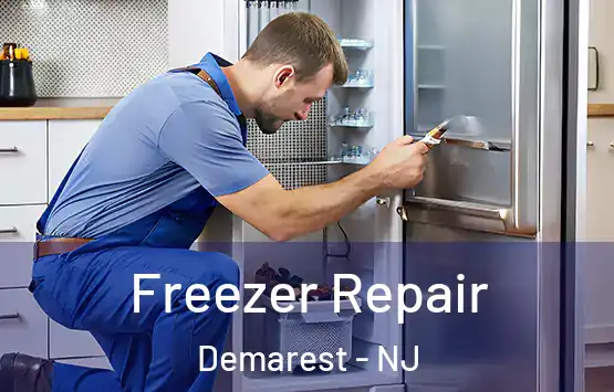  Freezer Repair Demarest - NJ