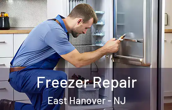  Freezer Repair East Hanover - NJ