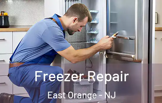  Freezer Repair East Orange - NJ