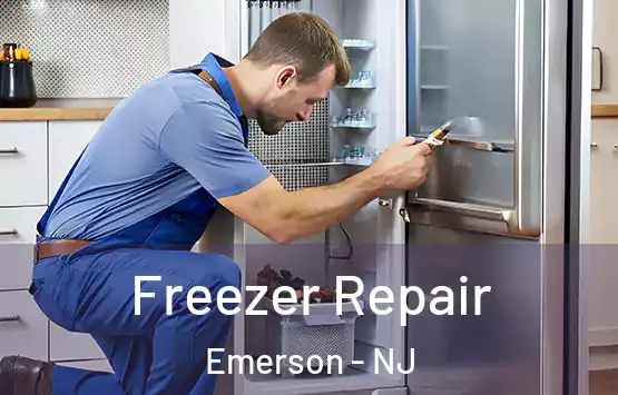  Freezer Repair Emerson - NJ