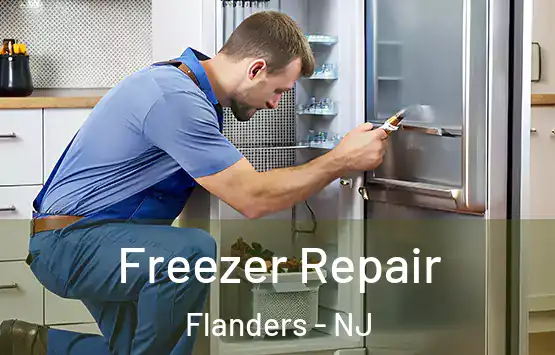  Freezer Repair Flanders - NJ