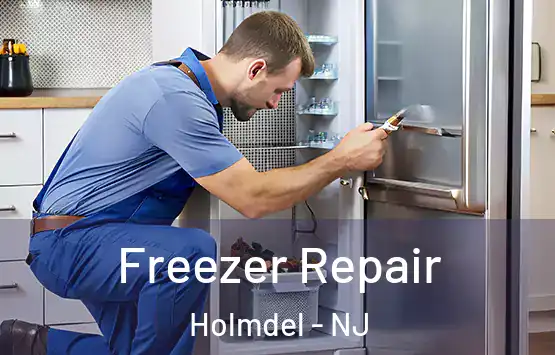  Freezer Repair Holmdel - NJ