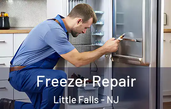  Freezer Repair Little Falls - NJ