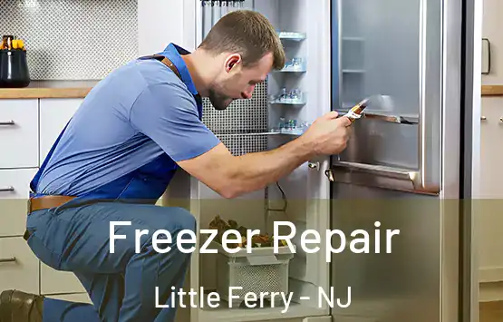  Freezer Repair Little Ferry - NJ