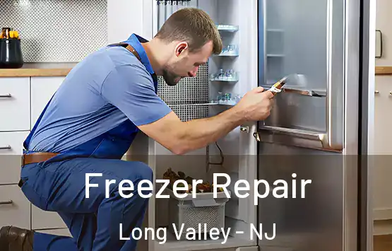  Freezer Repair Long Valley - NJ