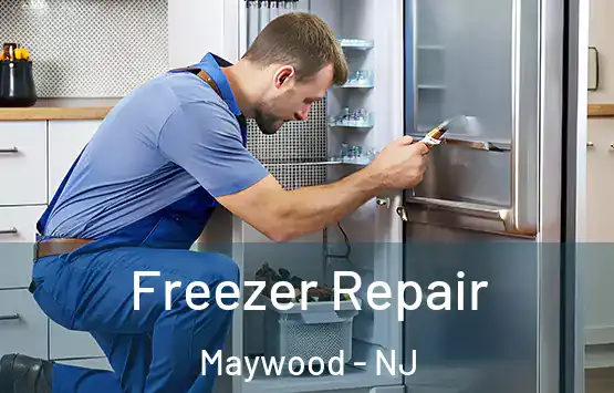  Freezer Repair Maywood - NJ