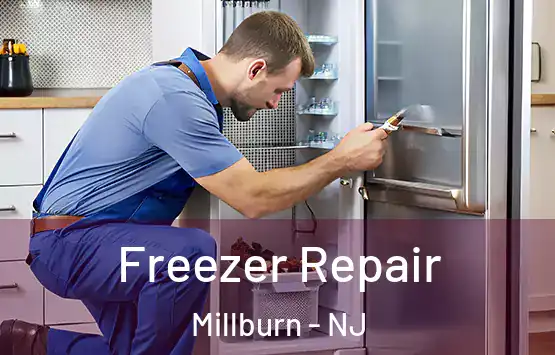  Freezer Repair Millburn - NJ