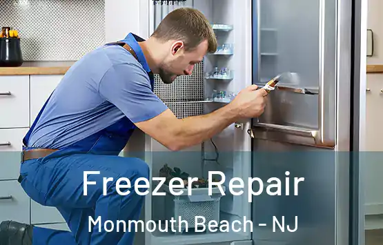  Freezer Repair Monmouth Beach - NJ