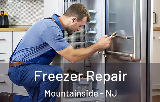  Freezer Repair Mountainside - NJ