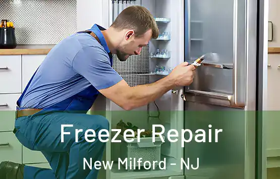  Freezer Repair New Milford - NJ