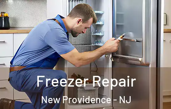  Freezer Repair New Providence - NJ