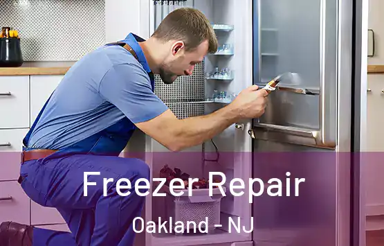  Freezer Repair Oakland - NJ