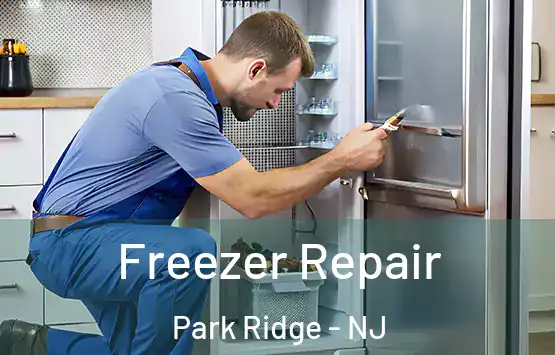  Freezer Repair Park Ridge - NJ