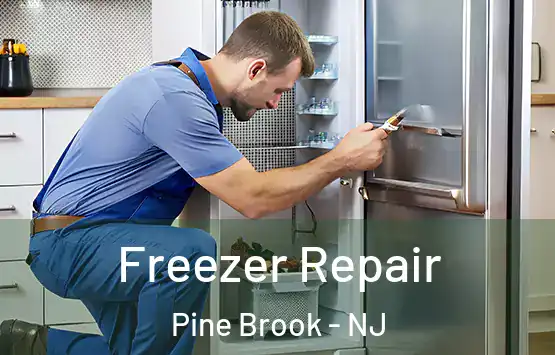  Freezer Repair Pine Brook - NJ