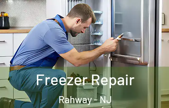  Freezer Repair Rahway - NJ