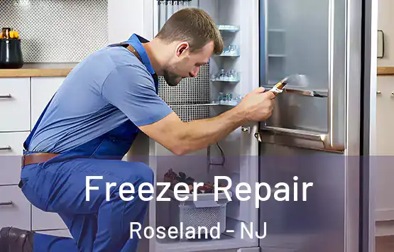  Freezer Repair Roseland - NJ