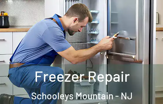  Freezer Repair Schooleys Mountain - NJ