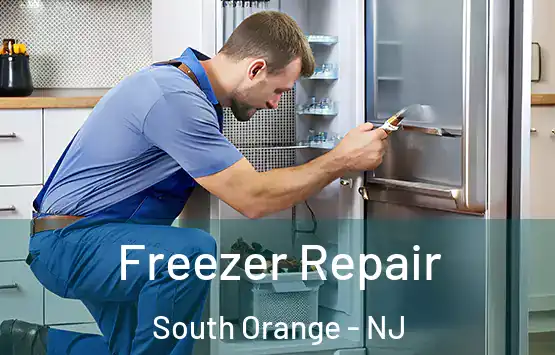  Freezer Repair South Orange - NJ